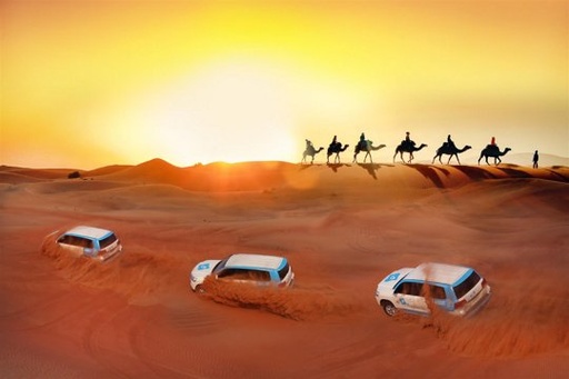[RYDESSAF] Desert Safari