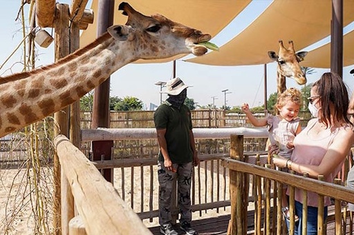 [DXFSAFPRK] Safari Park